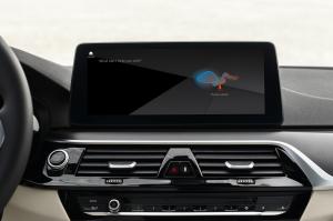 BMW 530i Touring Luxury Line 2020 года  (WW)
